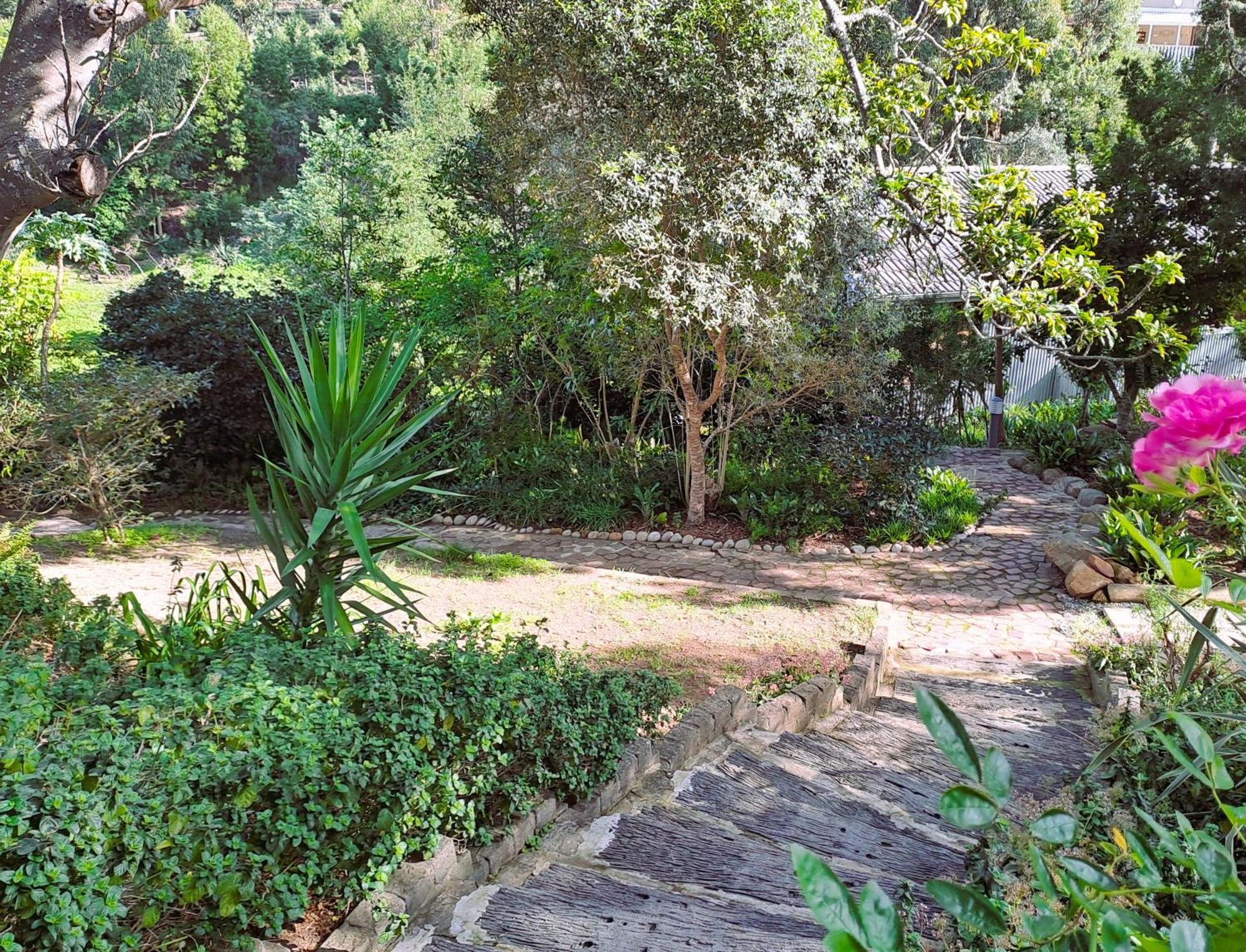 Badger'S Lodge Knysna Exterior foto